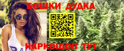 PSILOCYBIN Волжский