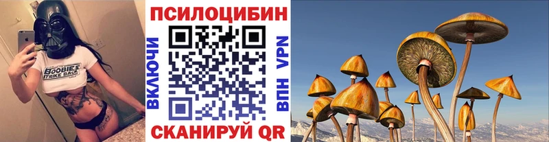 сколько стоит  Богородск  Галлюциногенные грибы Cubensis 